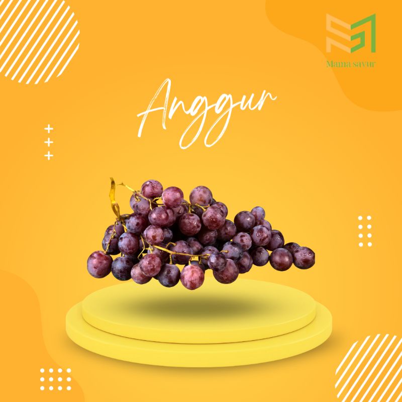 

Buah anggur merah segar per pack
