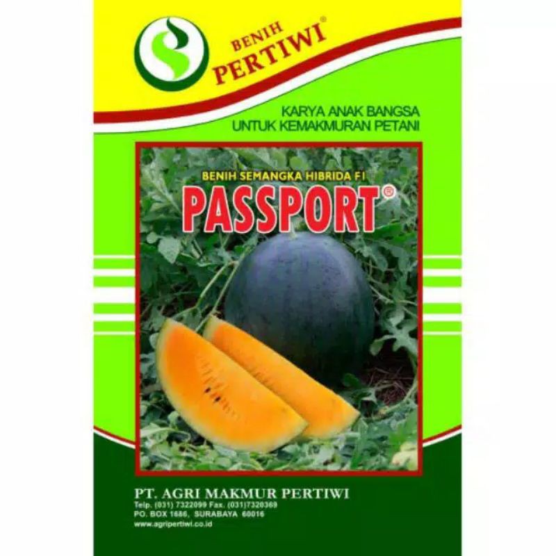Benih Semangka Bulat Kulit Gelap Daging Kuning Berbiji Hibrida PASPORT PERTIWI