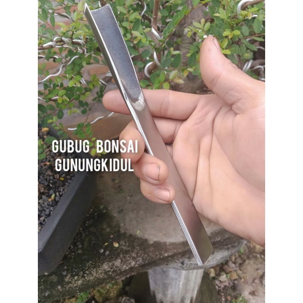 tatah pahat bonsai premium model kol lengkung