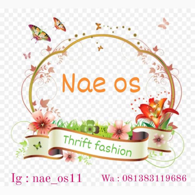 nae_os11