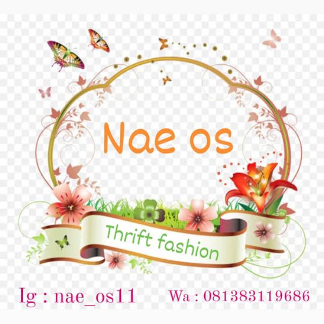 nae_os11