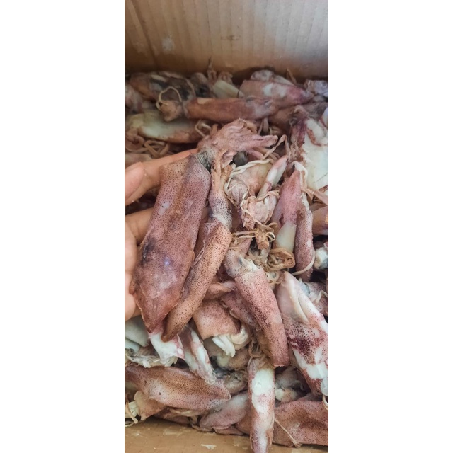 

Cumi asin baby 250gr 500gr 1kg eceran