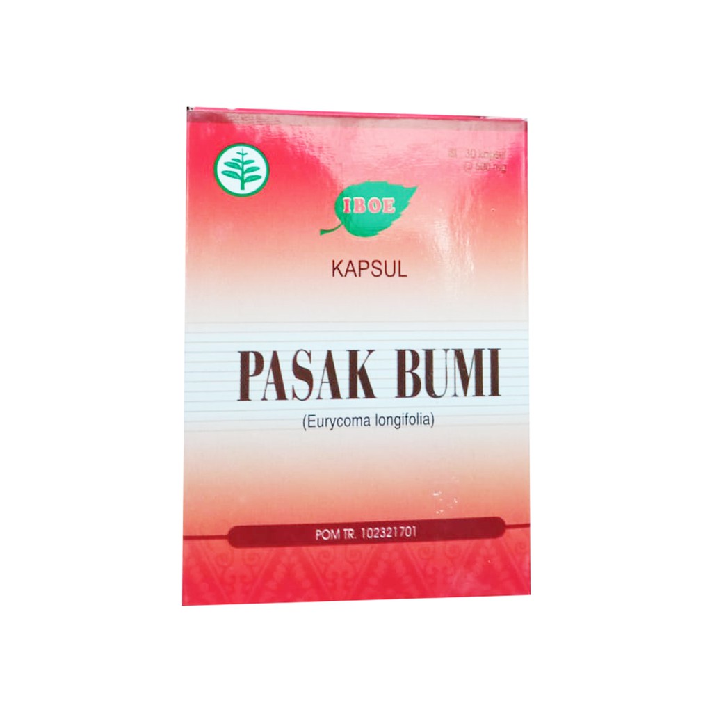 IBOE PASAK BUMI - UNTUK STAMINA ISI 30 KAPSUL