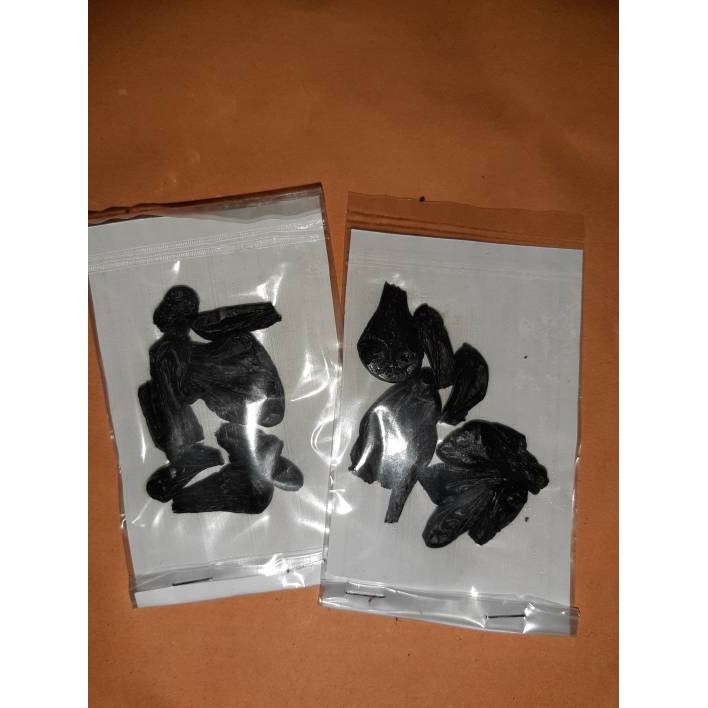 Empedu Ular Cobra Kering Asli dari Ular Kobra Original Obat Kulit Gatal Alergi Panu Kadas Kurap