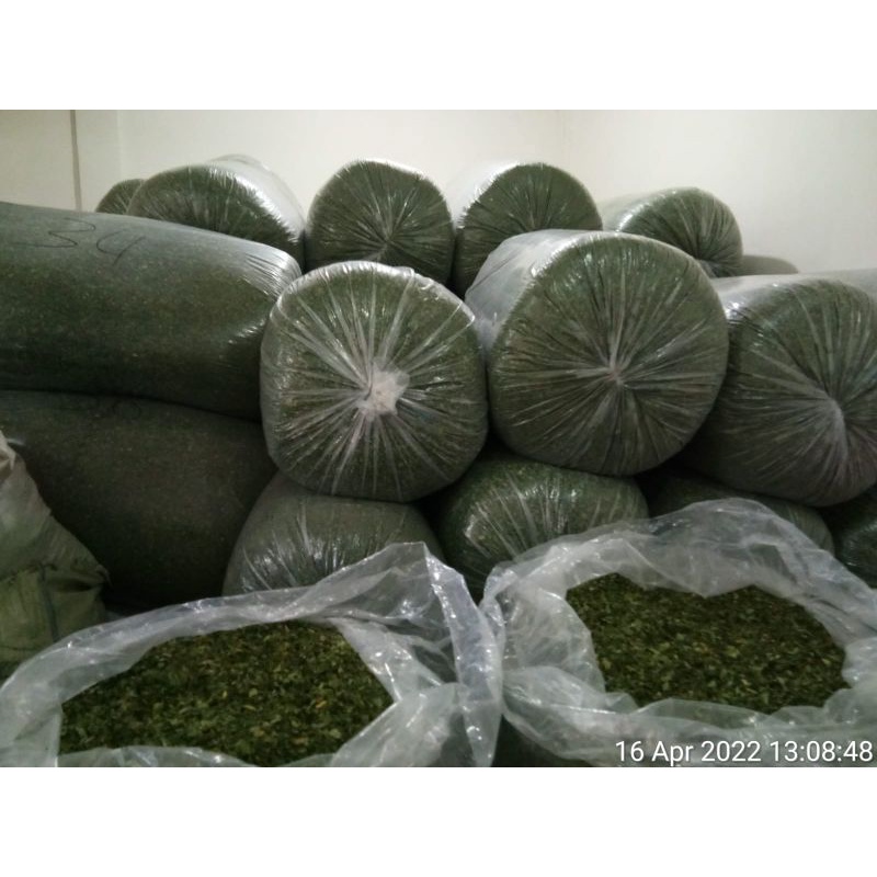 

Powder dan daun kelor murni dan biji jga ada
