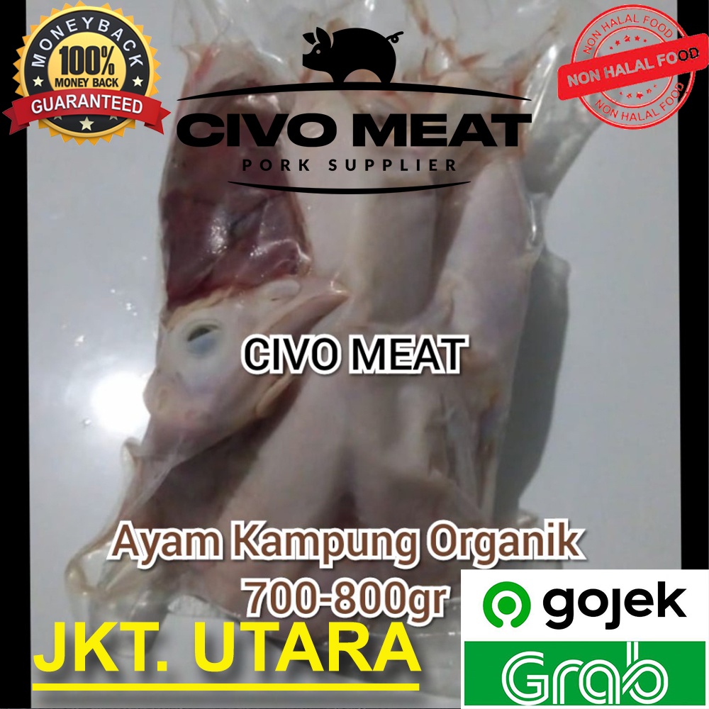 

Ayam Kampung ORGANIK 1ekor 700-800gr Frozen - Dijamin Bersih NO BULU