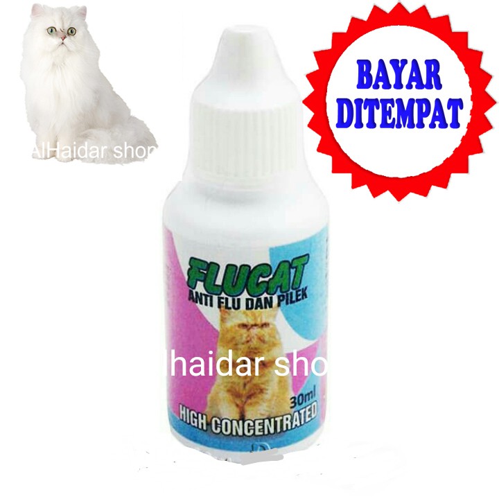 Obat kucing Flu pilek bersin FluCat