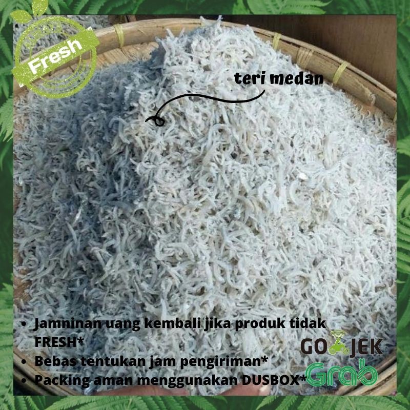 

TERI MEDAN TERMURAH FRESH
