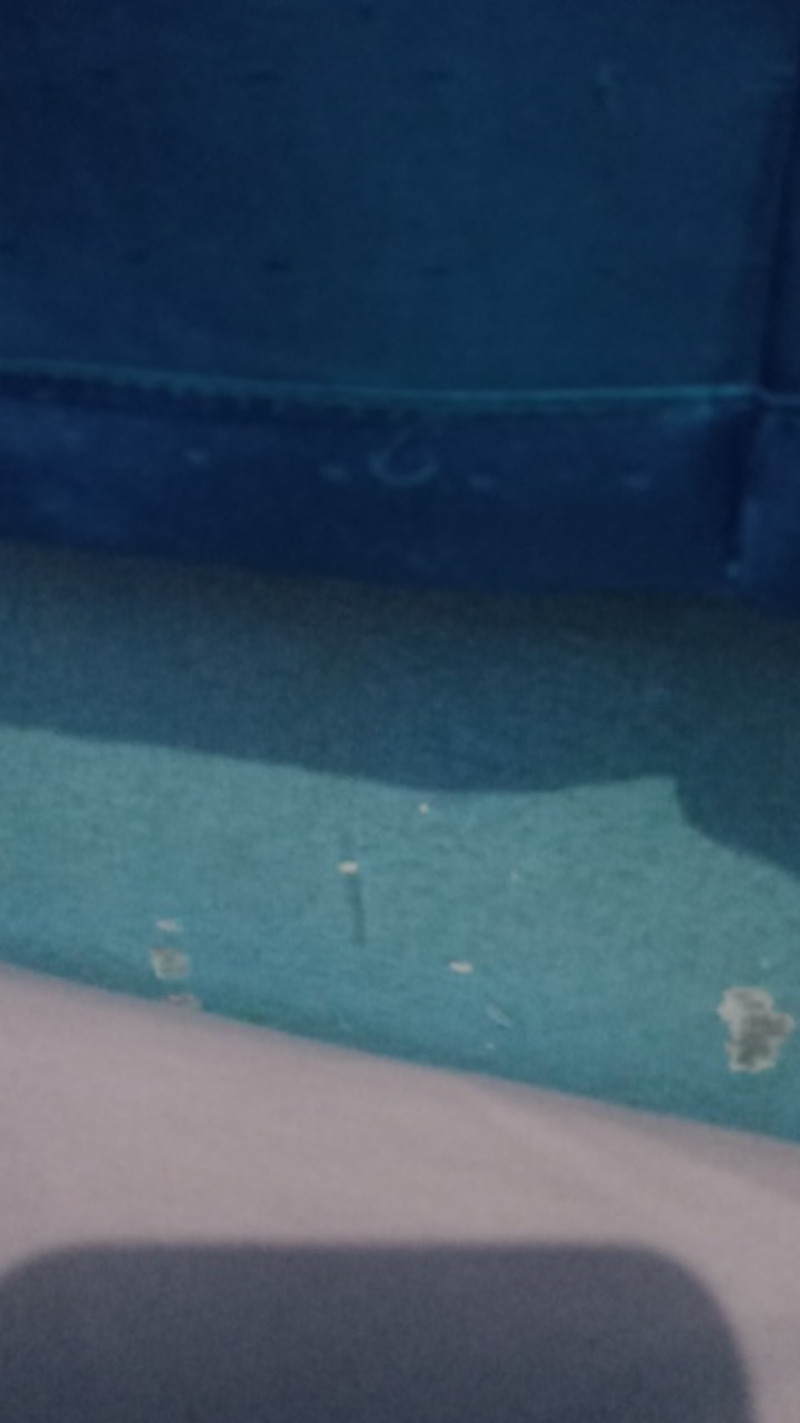 Downy Daring Parfum Colection 680 Ml