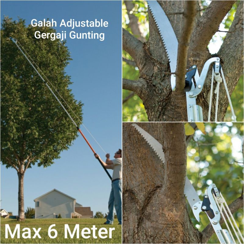 Galah Adjustable Tebang Pohon Gergaji Gunting