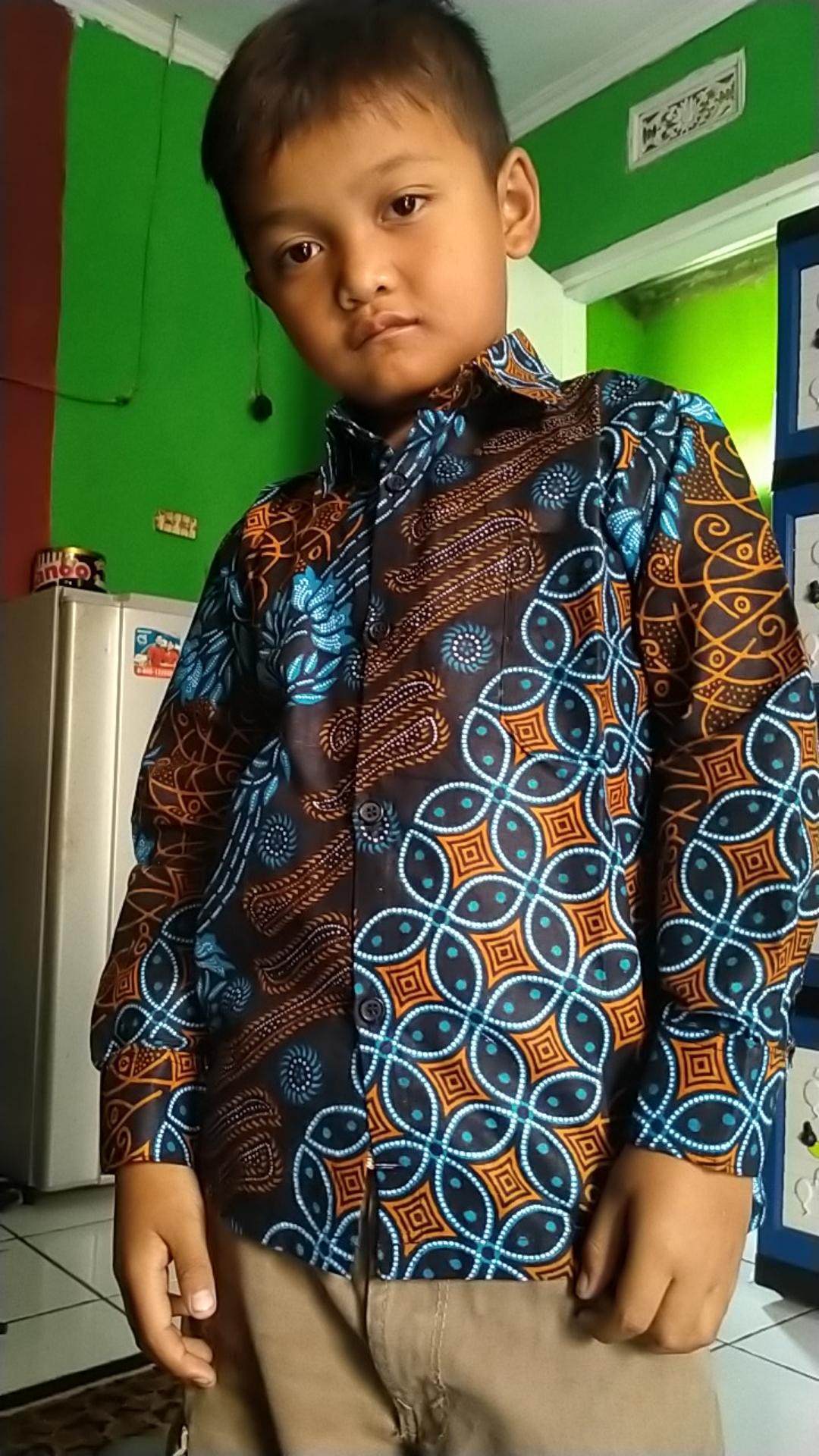 Kemeja Batik Anak Cowok Usia 2-10 Tahun Modern Keren / Baju Batik Anak Laki Laki Lengan Panjang Lucu