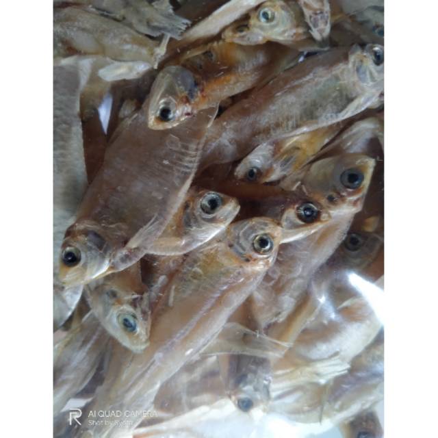 

Ikan asin krasak/ ikan asin teri asli tanpa formalin