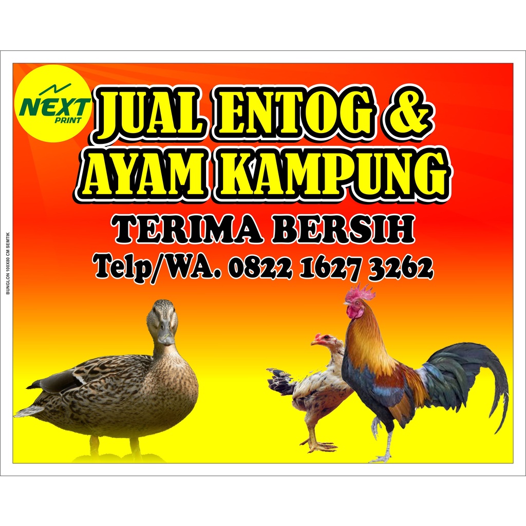 

spanduk jual ayam kampung