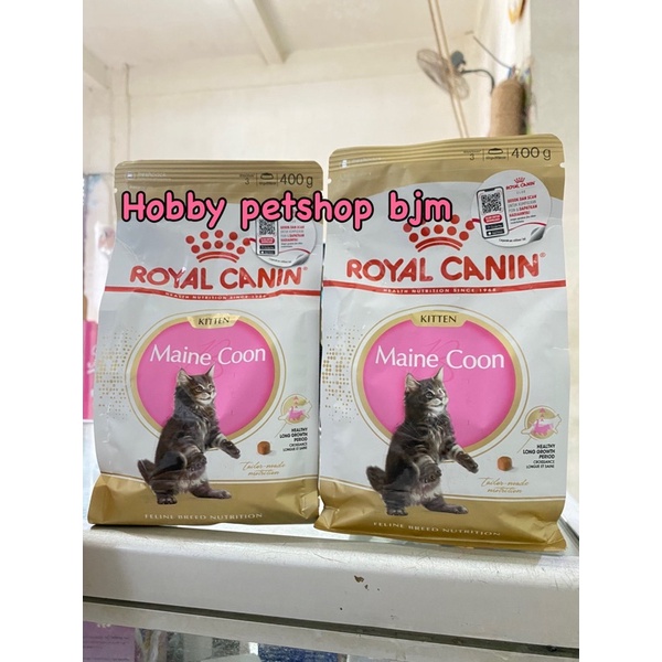 Royal canin kitten mainecoon 400gr - maine coon kiten anak kucing RC