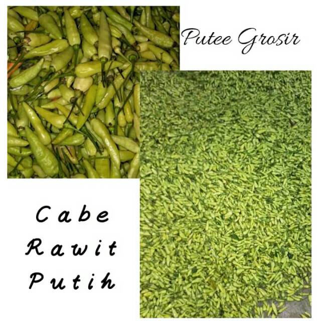 

Cabe Rawit Putih Super 250gr