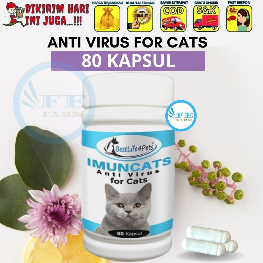 OBAT ANTIVIRUS SUPLEMEN IMUN KUCING TUBUH DAYA TAHAN TUBUH KUCING FEFARM