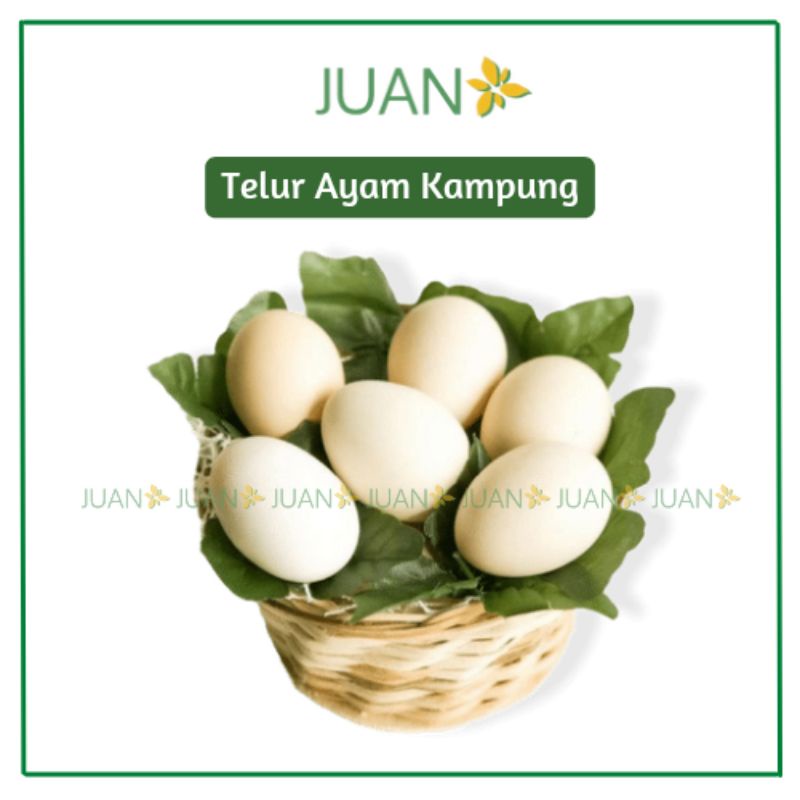 

Telur Ayam Kampung 1 Butir - Juan Freshmart