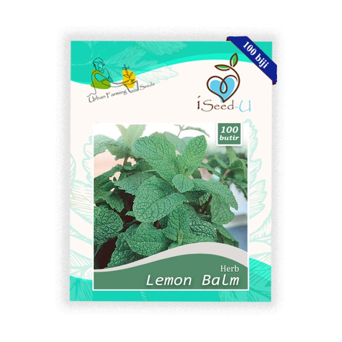 Benih-Bibit Lemon Balm (iSeed-U)