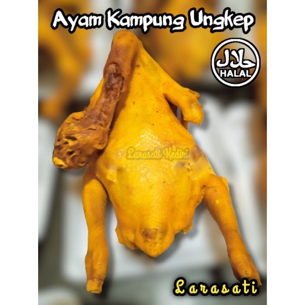 

AYAM KAMPUNG UNGKEP (1 ekor) Promo hemat