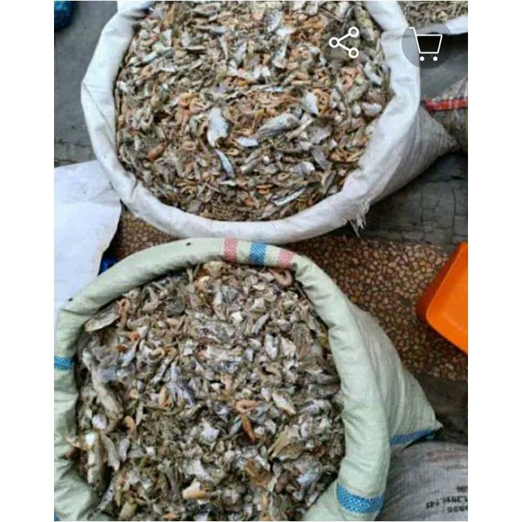 

Ikan Asin Seppo Campur ( @ 250 Gr )