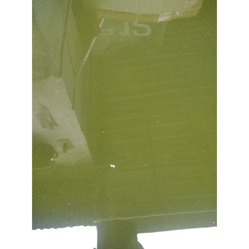 

air hijau/green water