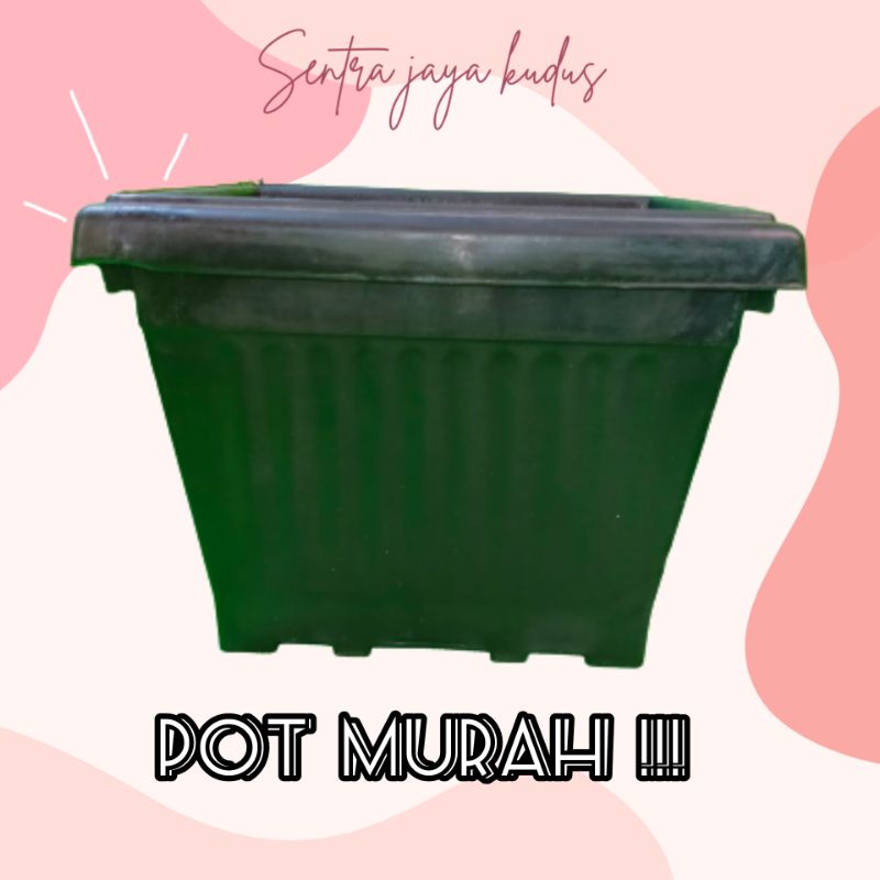 POT BUNGA PERSEGI/POT KOTAK/POT BUNGA BESAR