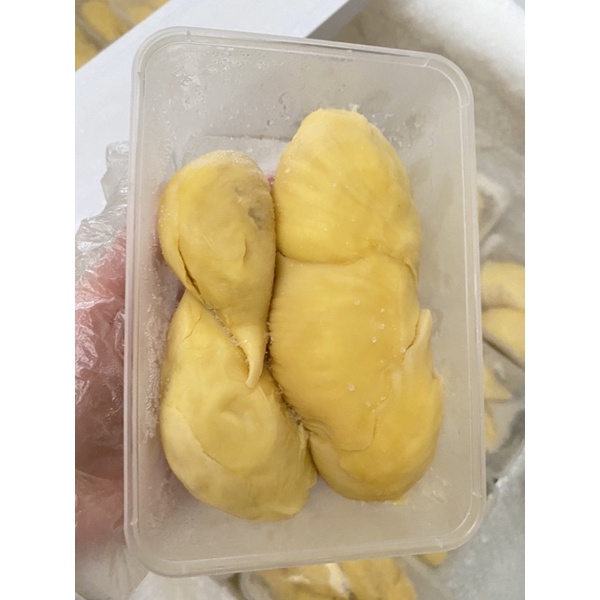 

Durian Montong Palu