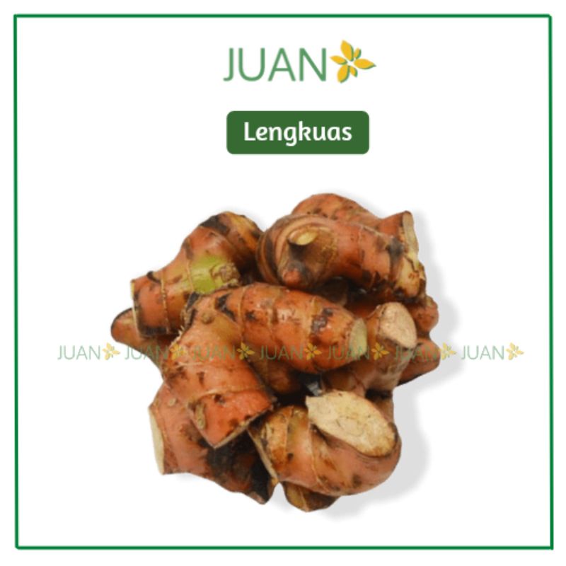 

Lengkuas - Juan Freshmart