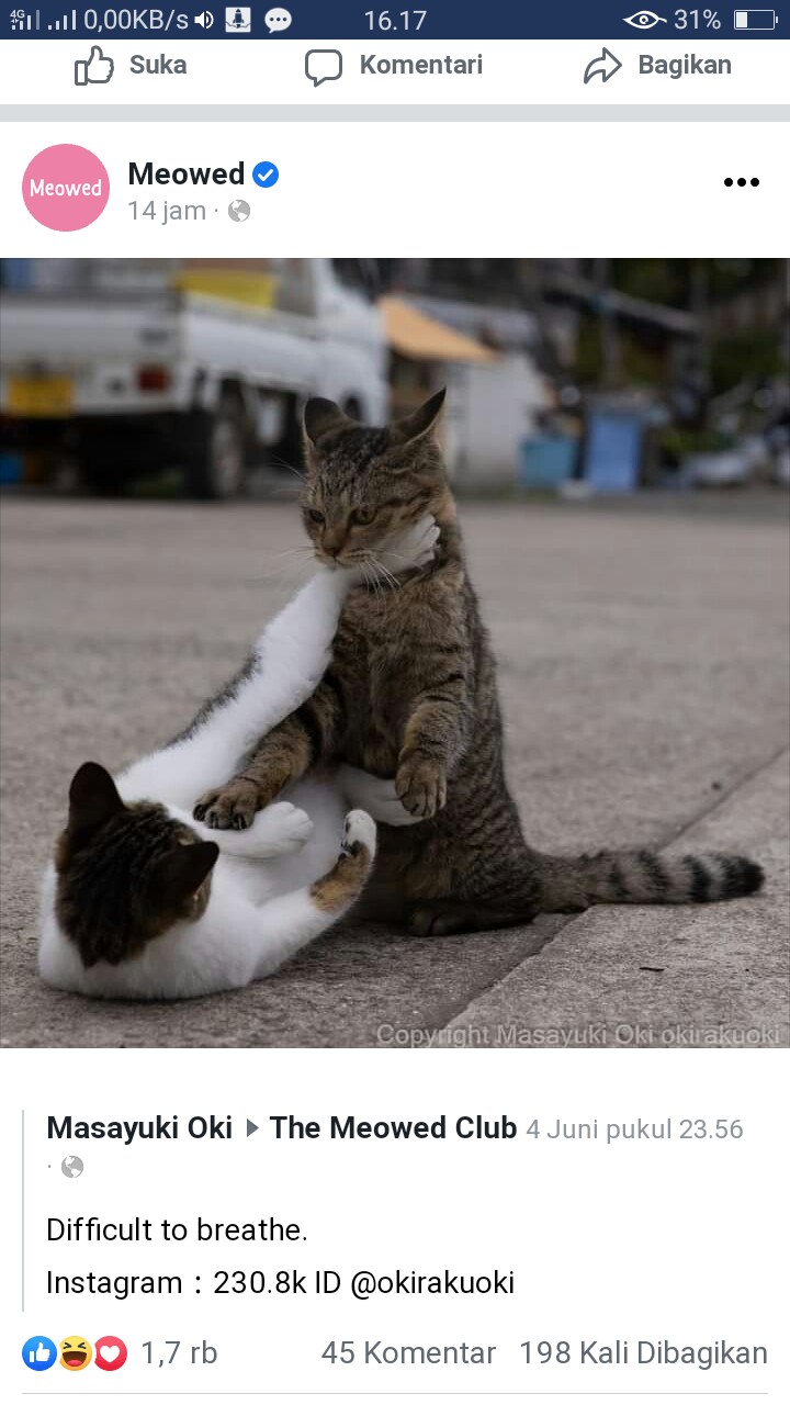 Payung Lipat 3d Sky Magic Premium Korea / Dimensi Lapisan Hitam ( Anti Uv ) - A3-07