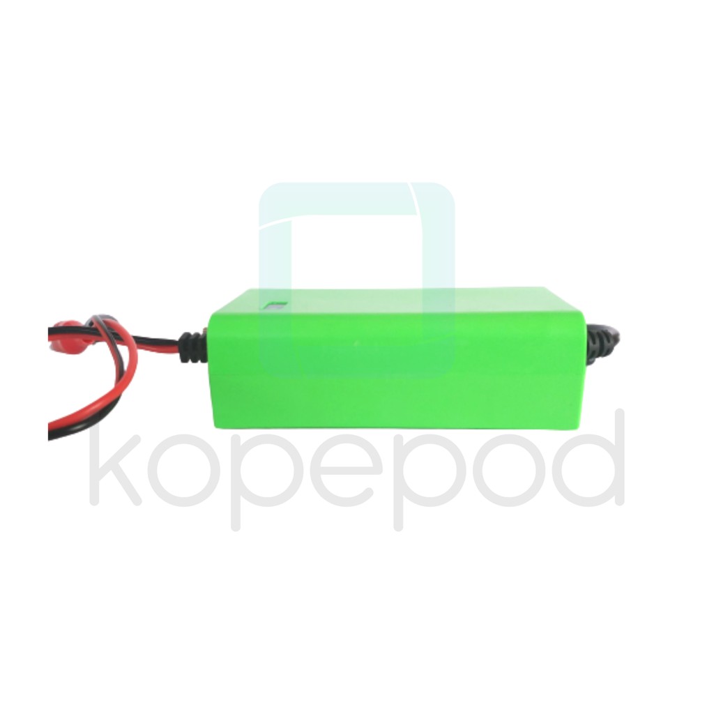 CAS Aki Mobil Mainan 6V 2A Charger Accu Casan Aki Motor Mainan Otomatis Alat Kopepod