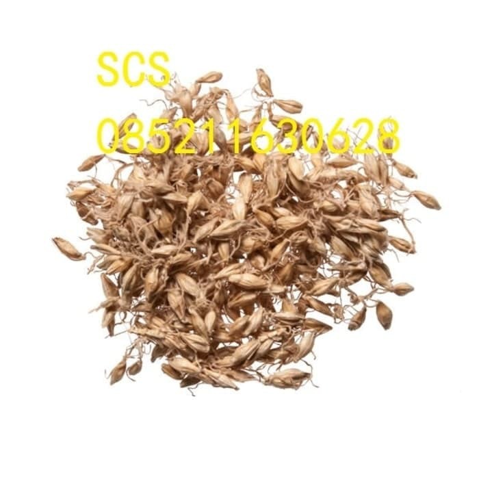 

Mai Ya Barley Sprouts 100 gram