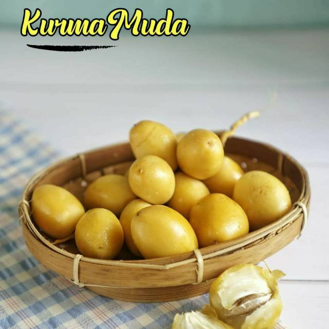 

Kurma Muda