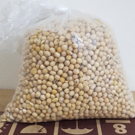 

Kacang Kedelai kedelei soya bean 1kg