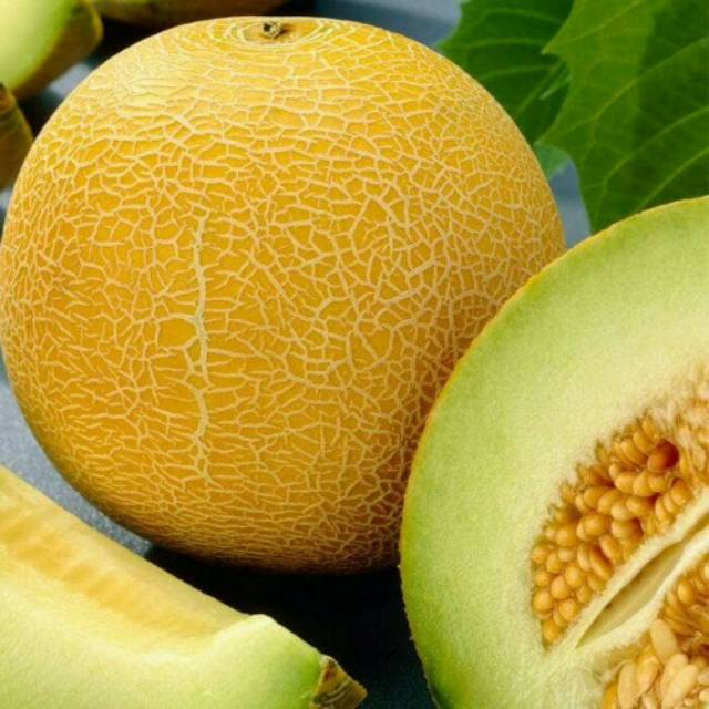 

Melon Madu