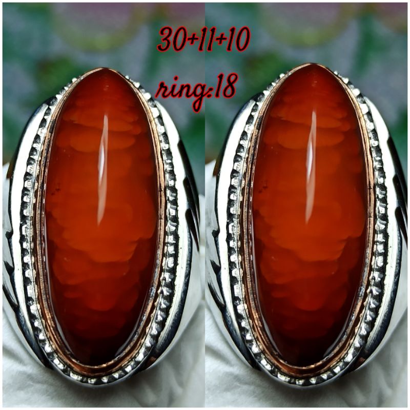 

PANDAB MERAH SISIK BETOK