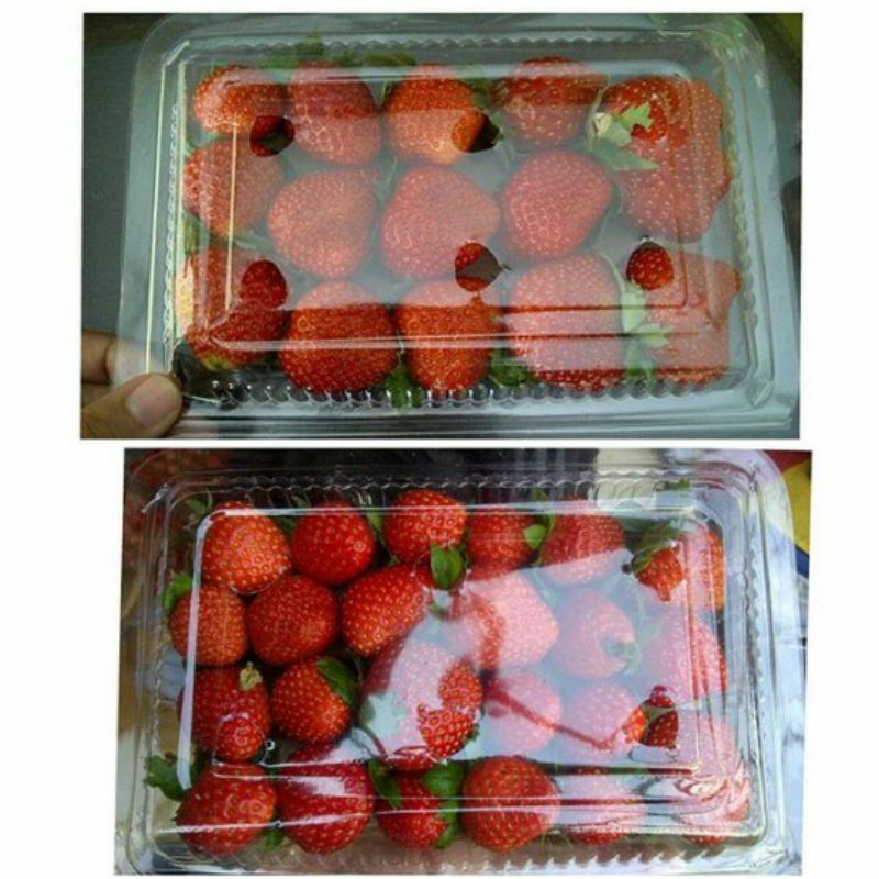 

Stoberi / Strawberry Jawa Tengah