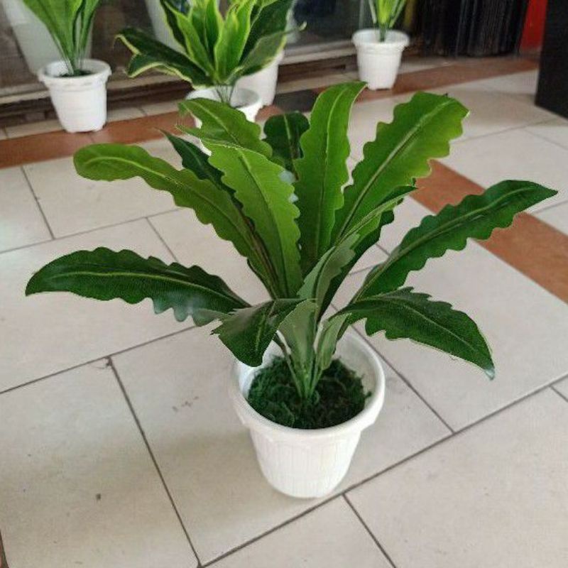 tanaman hiasan plastik, daun gelombang cinta plastik, daun kadaka artificial satu set pot gentong