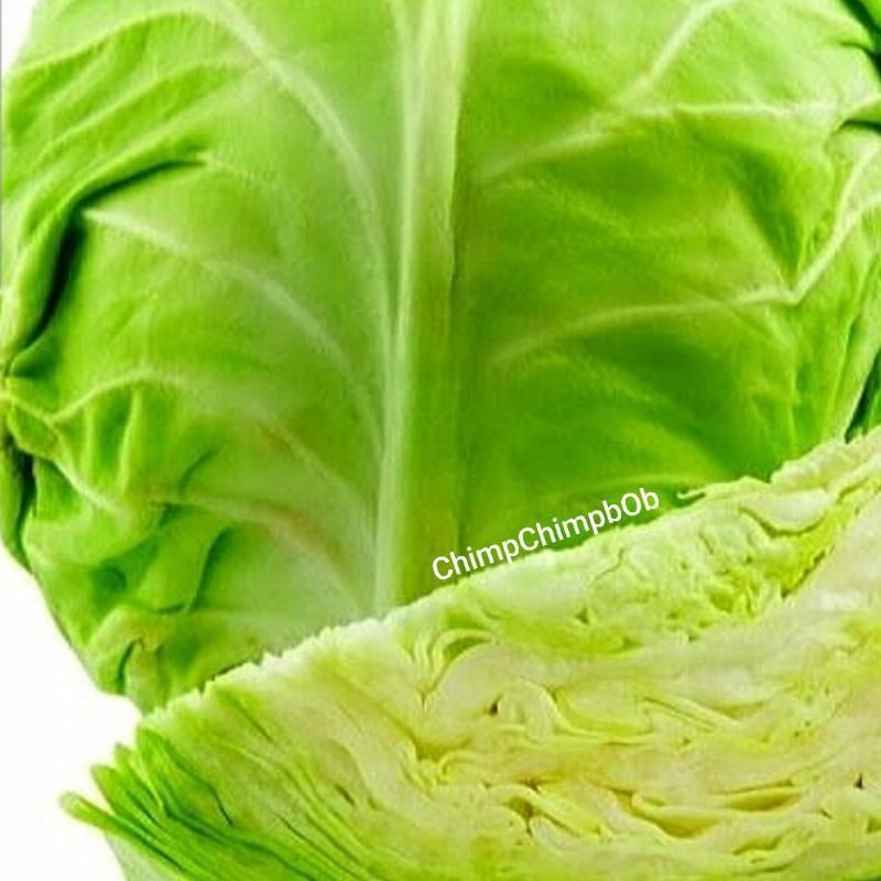 

KOL SEGAR 1 pcs / KUBIS PUTIH / KOL PUTIH / WHITE CABBAGE FRESH