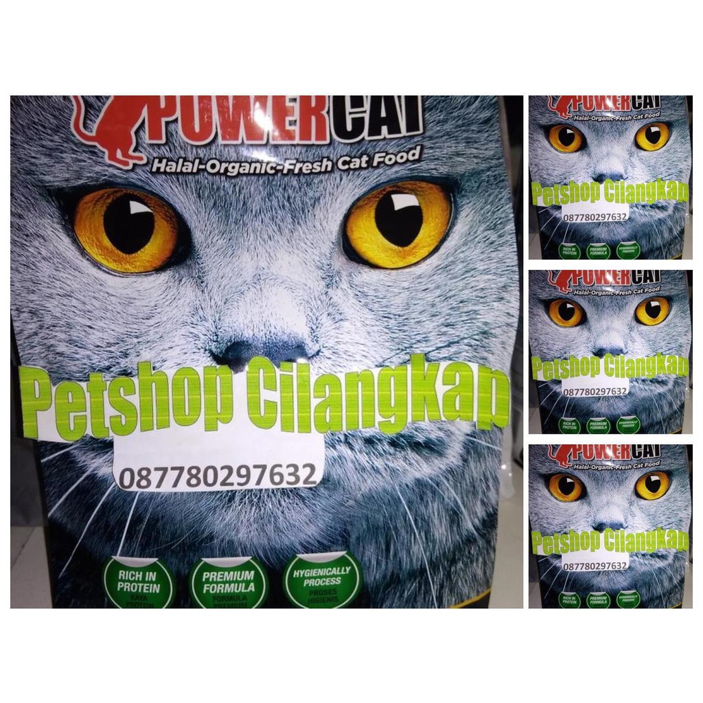 power cat oceanfish 1,4kg powercat adult & kitten