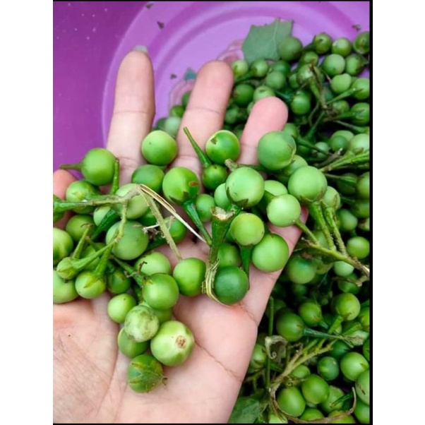 

takokak 1kg