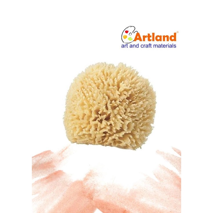 

TERLARIS Sponge coarse 4 -4.5in C445/CAT AKRILIK SET/CAT AKRILIK SET 24 WARNA/CAT AKRILIK PASTEL/CAT AIR/CAT AIR LUKIS SET/CAT AIR GIOTTO/KUAS LUKIS 1 SET/KUAS LUKIS KECIL/KUAS LUKIS LENGKAP/KANVAS LUKIS/KANVAS LUKIS SKETSA/KANVAS LUKIS MINI/KANVAS