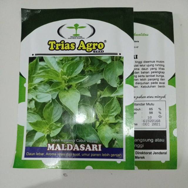 Bibit Benih Kemangi Cabut Maldasari 10 Gram