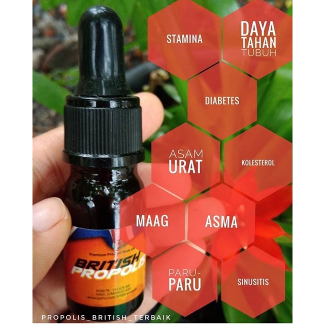

BRITISH PROPOLIS