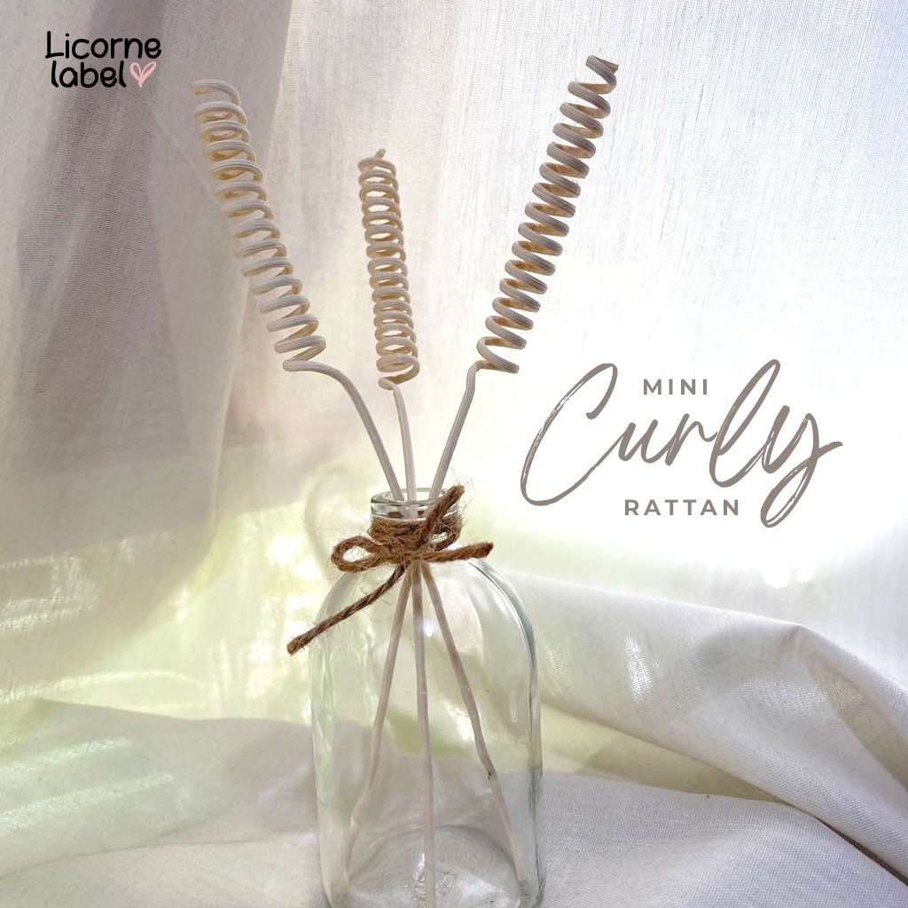 Elie Moise Curly Rattan Reed Diffuser Stick Eco Friendly & 100% Rotan Natural Alami-3