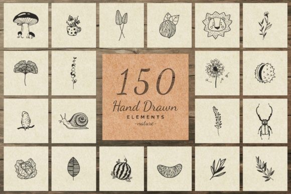 150 Handdrawn Elements Naturei II - Vector Designs