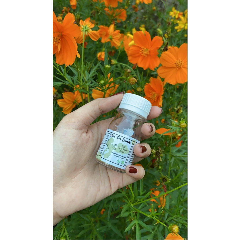 SLIMFIT HERBAL isi 10| SLIMBEAUTY | PELANGSING HERBAL ALAMI | OBAT DIET | KAPSUL DIET | OBAT PELANGS