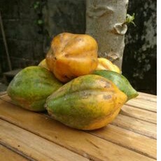 

500gram Buah Carica Segar Khas Dieng