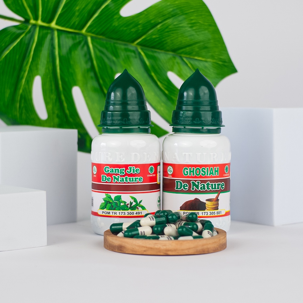 OBAT DE NATURE INDONESIA BENGK4K MR P3