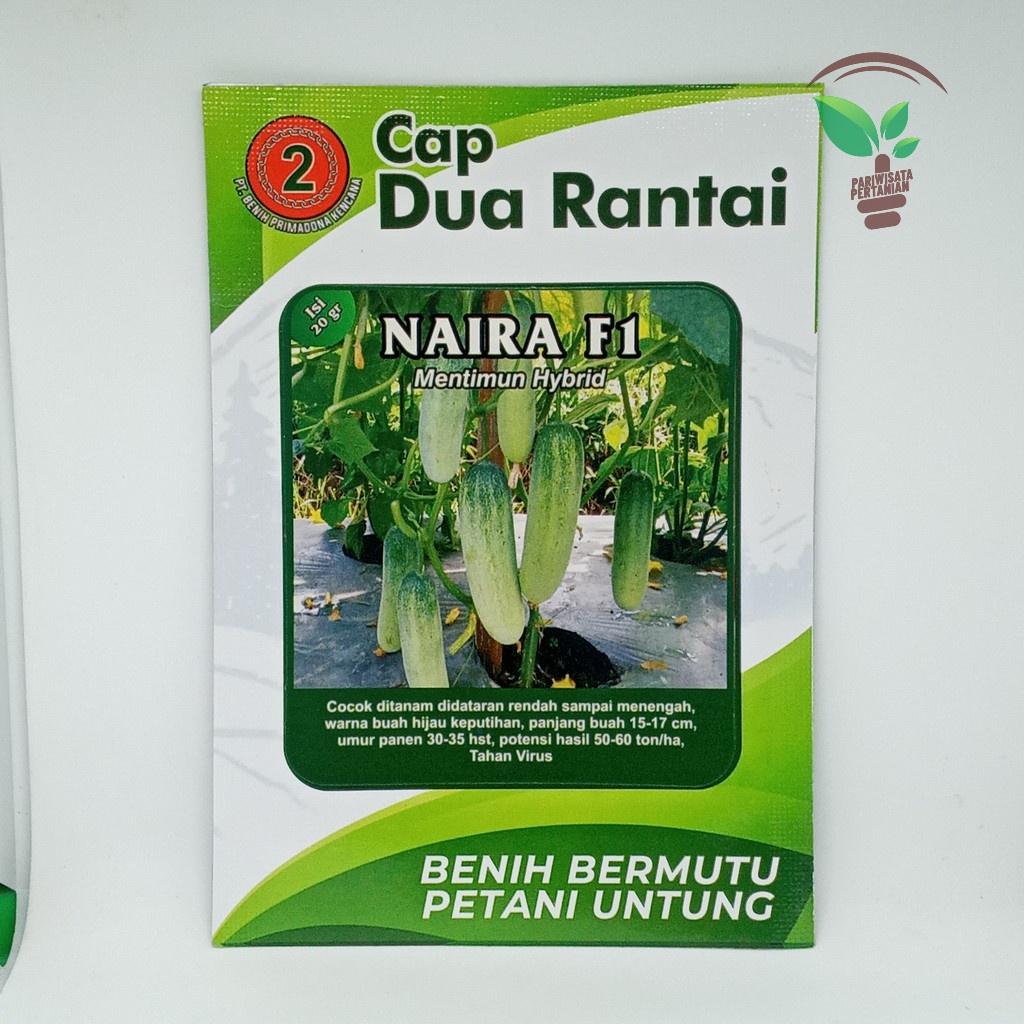 Jual Benih Timun Lalap Semi Naira F Dua Rantai Isi Gr Butir