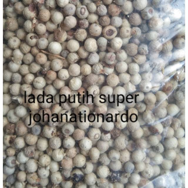 

Lada putih bulat super 1 kg